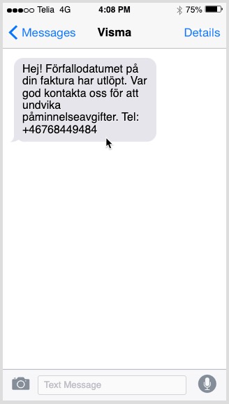 FakeSMS_Example.jpg